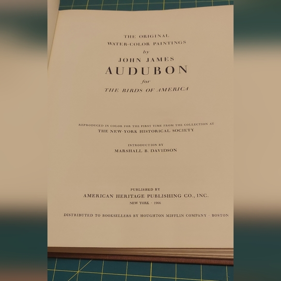 Warbler species book print John James Audubon - Picture 2 of 3